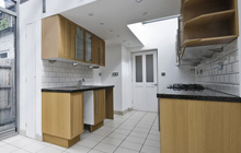 Greenisland kitchen extension leads